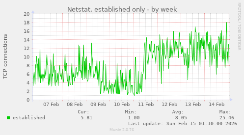 Netstat, established only
